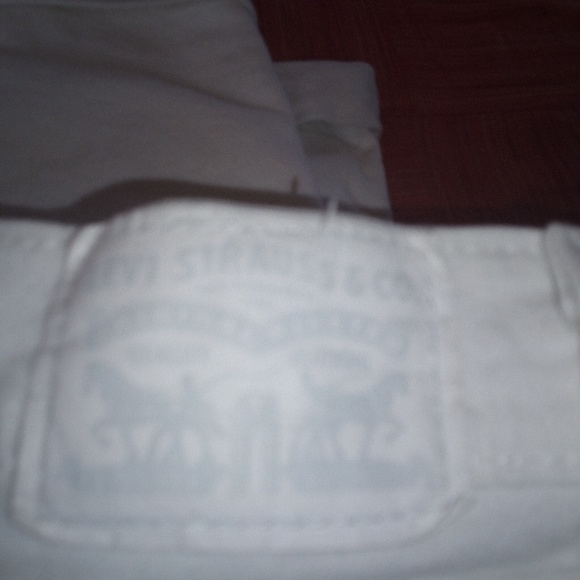 Levi - Picture 2 of 3